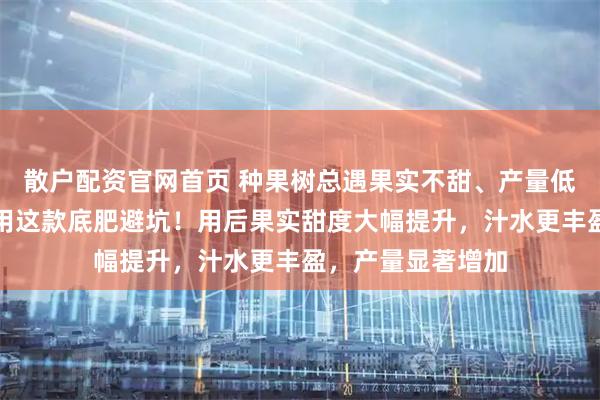 散户配资官网首页 种果树总遇果实不甜、产量低难题？内行都在用这款底肥避坑！用后果实甜度大幅提升，汁水更丰盈，产量显著增加
