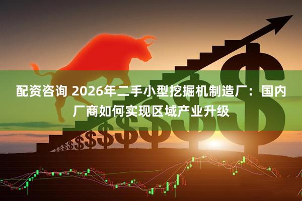 配资咨询 2026年二手小型挖掘机制造厂：国内厂商如何实现区域产业升级
